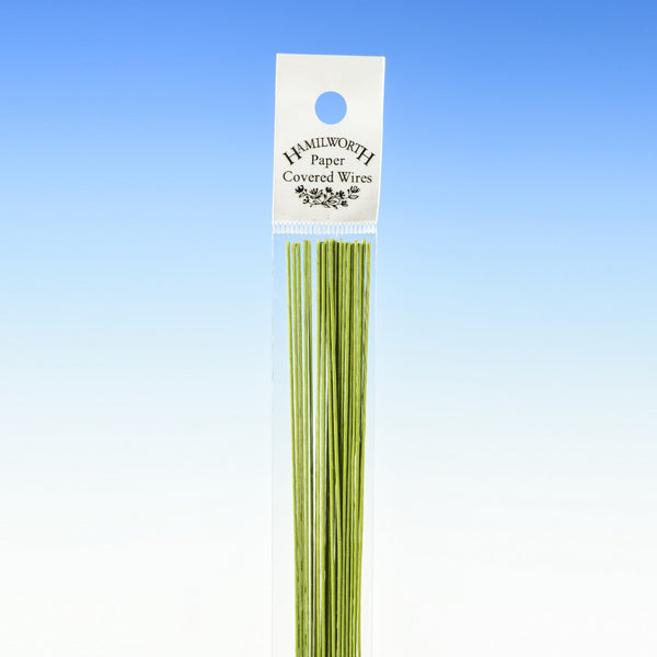 20 Gauge - Nile Green Florist Wire x 50