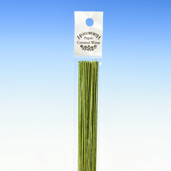 28 Gauge - Nile Green Florist Wire x 50