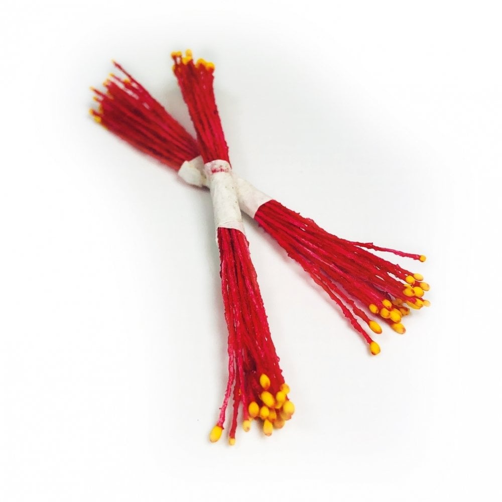 Orange & Red Micro Head Stamens x 50