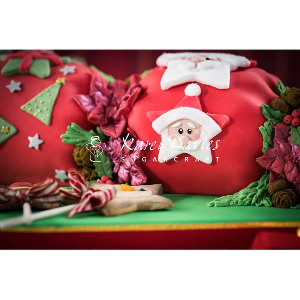 Christmas Stars Mould - Karen Davies