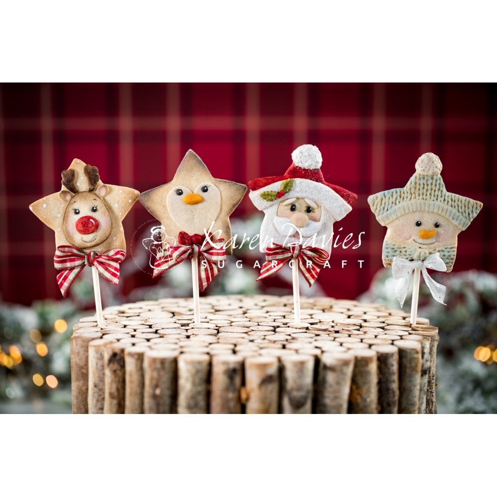 Star Reindeer Mould - Karen Davies