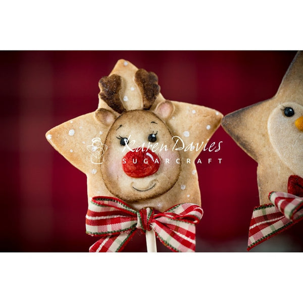 Star Reindeer Mould - Karen Davies