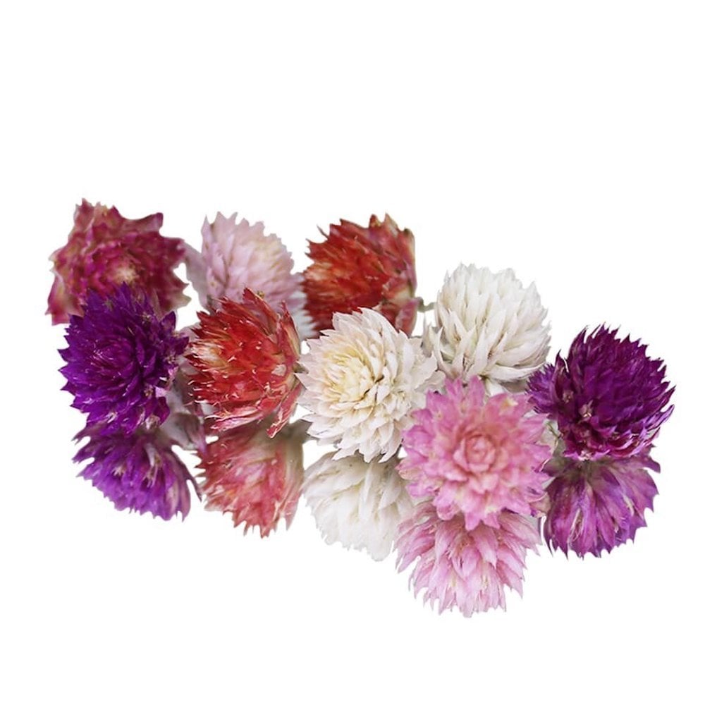 Dried Amaranth Pom Pom Mix Edible Flowers