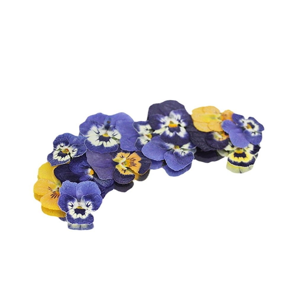 Pressed Mini Viola Edible Flowers