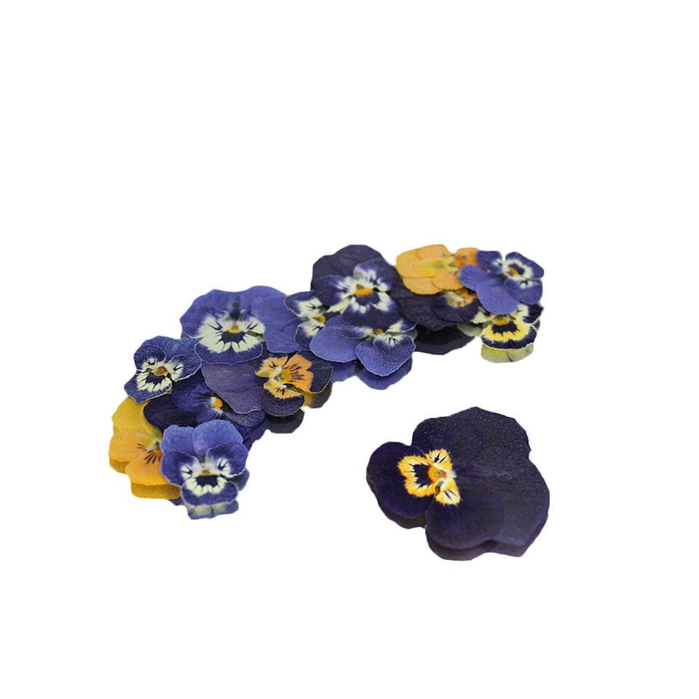 Pressed Mini Viola Edible Flowers