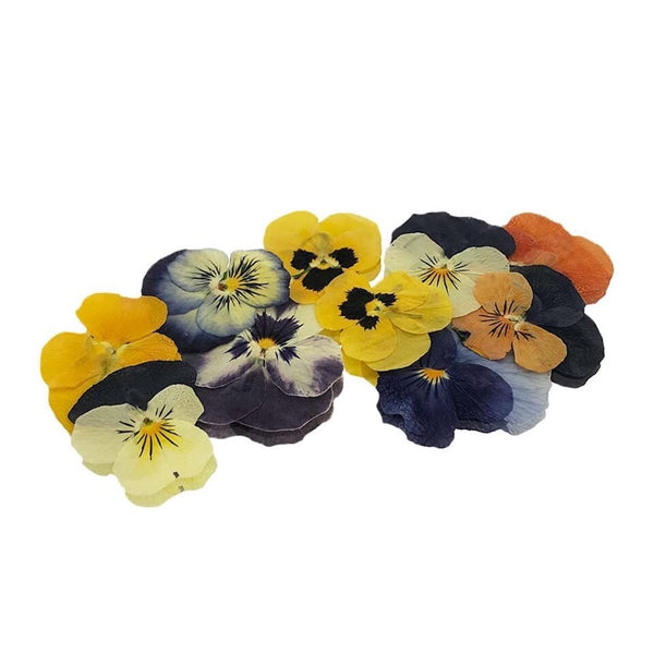 Pressed Violas Edible Flowers