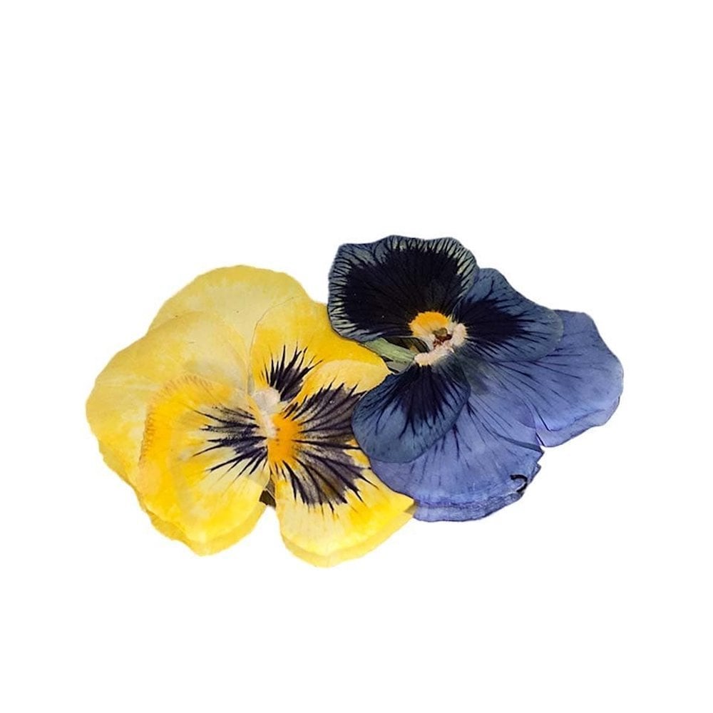 Pressed Violas Edible Flowers