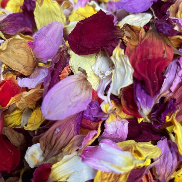 Dried Mixed Edible Flowers