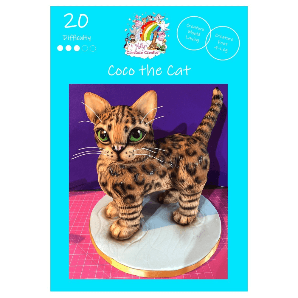 Coco The Cat Cake Tutorial