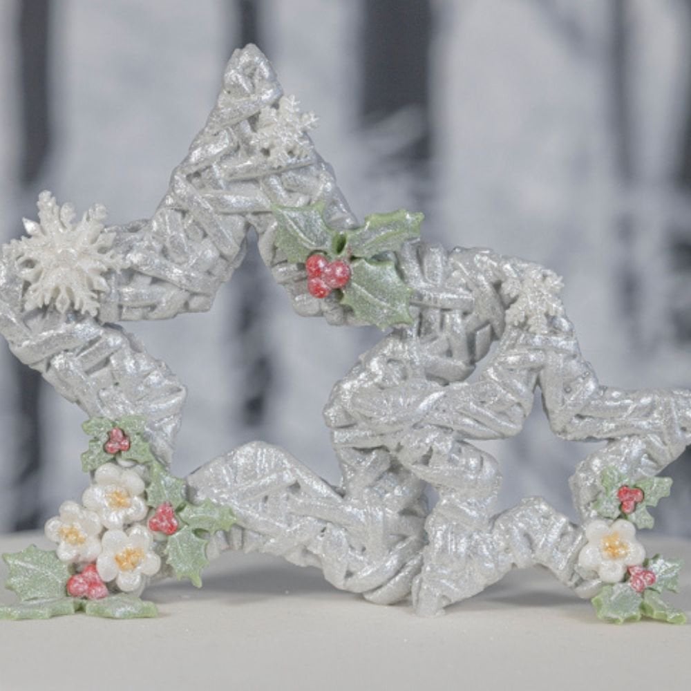 Wicker Stars Mould - Karen Davies