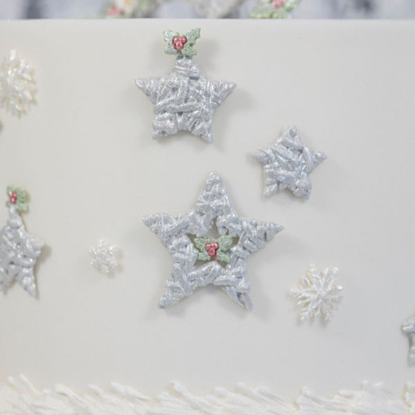 Wicker Stars Mould - Karen Davies