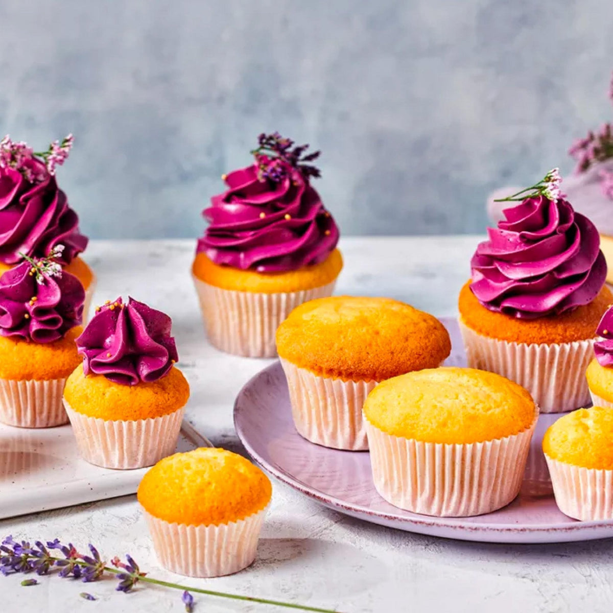 Vanilla Cupcake Mix