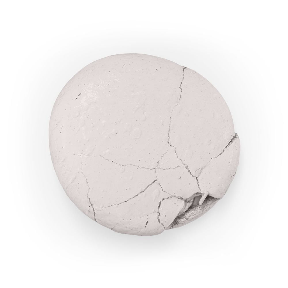 Taupe - Water Based Food Colouring 20ml