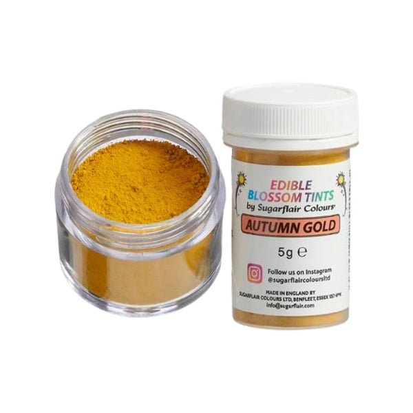 Blossom Tint 5g - Autumn Gold