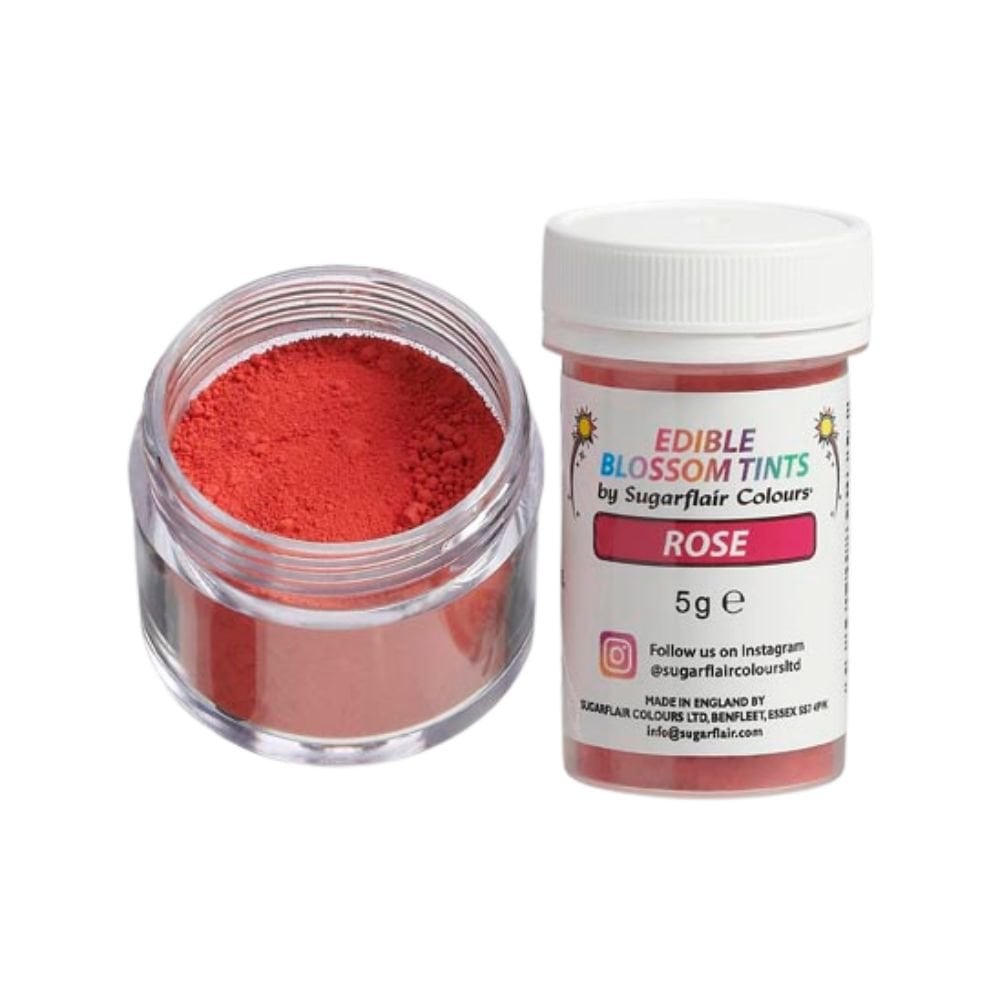 Blossom Tint 5g - Rose