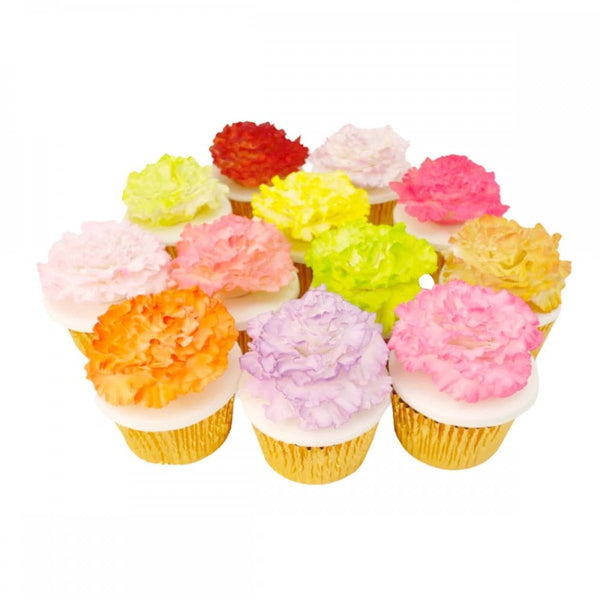 The Easiest Carnation Ever Cutter Set Of 2