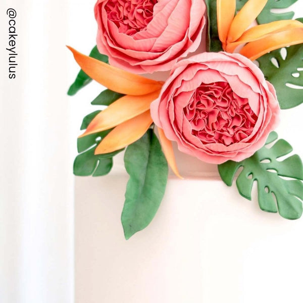 THE FLOWER PASTE™ (White)