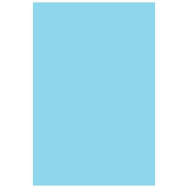 Baby Blue Photography Backdrop