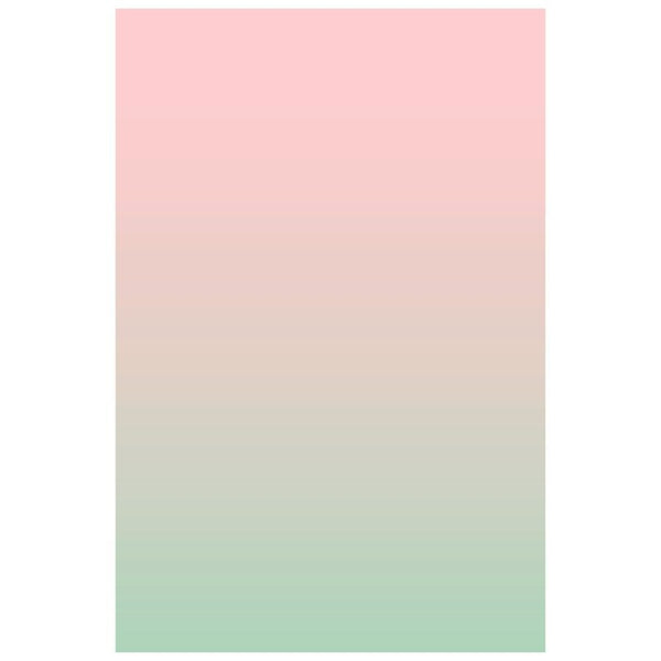 Watermelon Ice Photography Backdrop