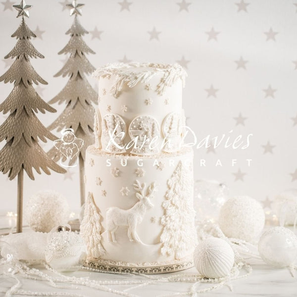 Snowglobe Silicone Mould