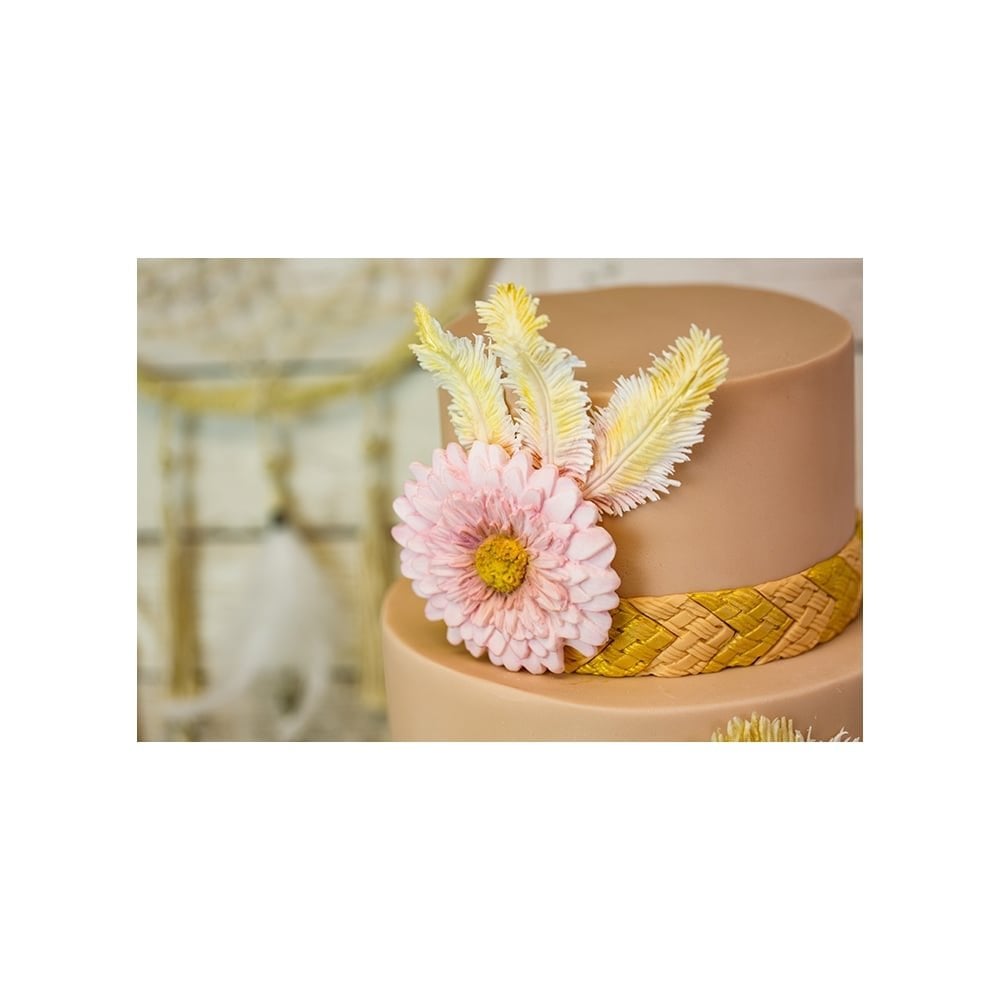 Native Feathers Silicone Mould