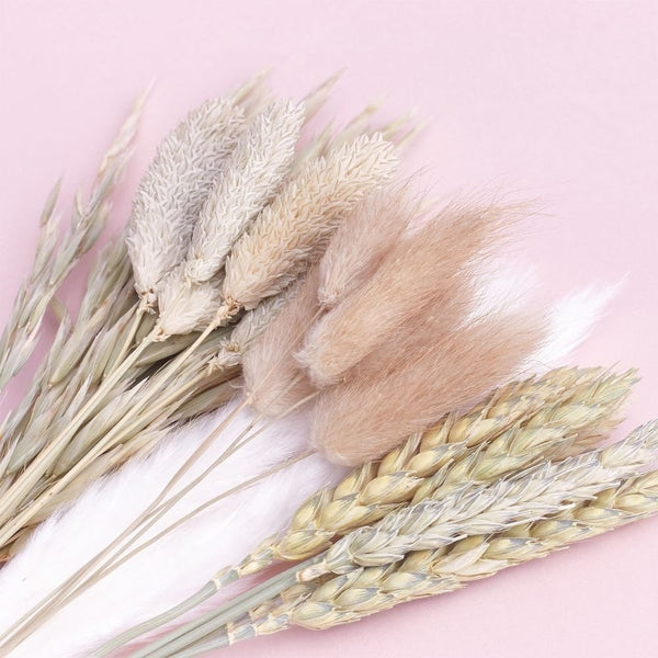 Natural Mixed Dried Flower Box