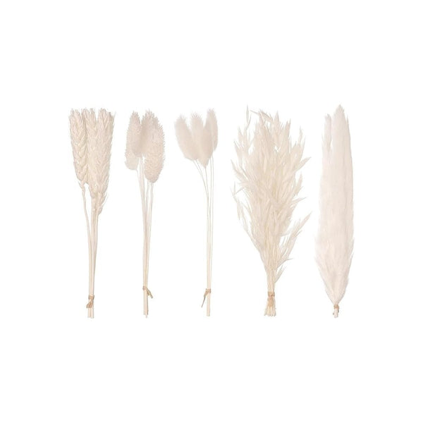 White Mixed Dried Flower Box
