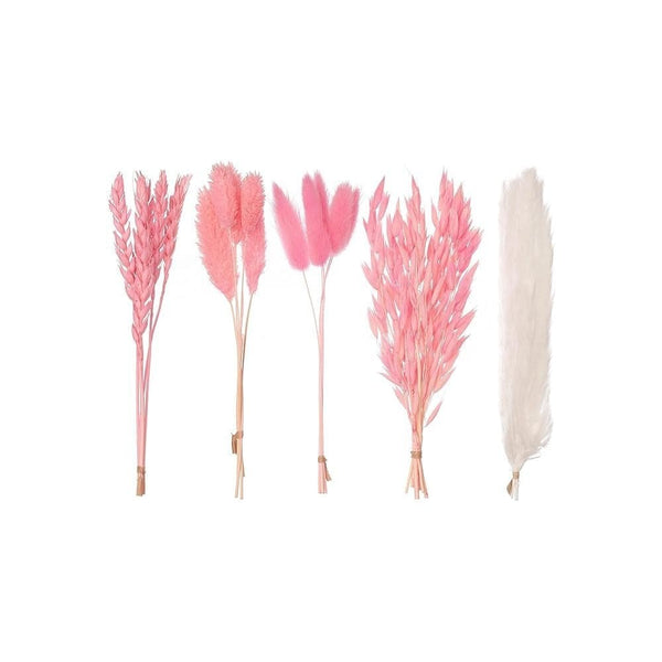 Hot Pink Mixed Dried Flower Box