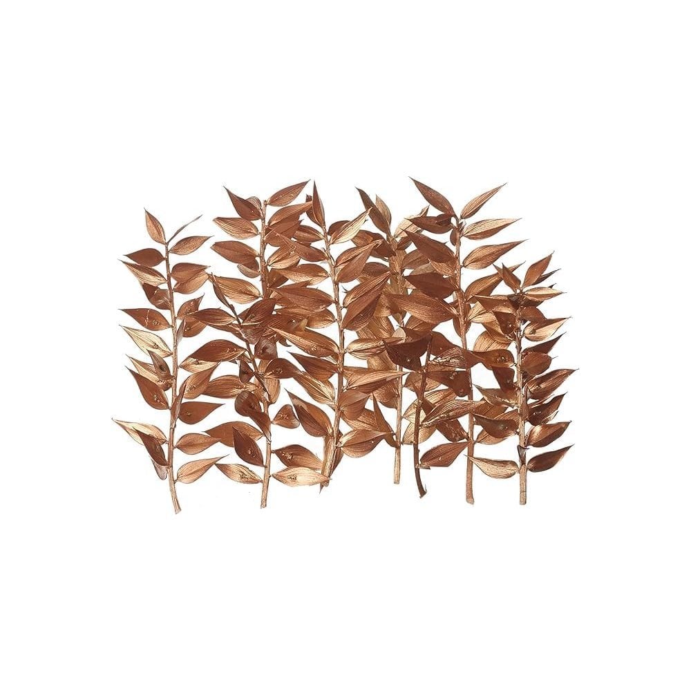 Gold Ruscus Dried Flower Box