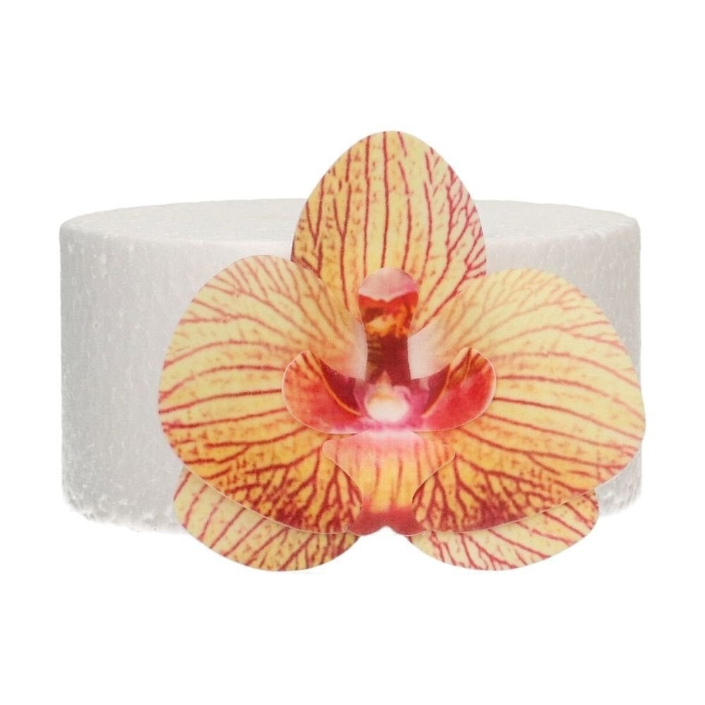 Golden Brown Medium Orchid Deluxe Wafer Flowers Pack Of 10