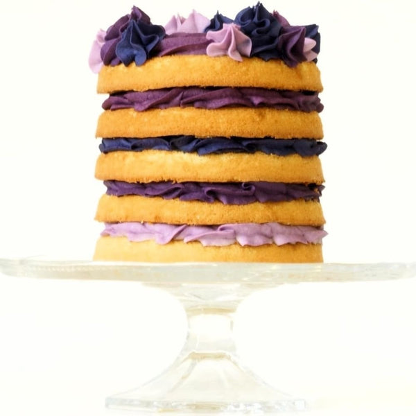 Purple Food Colour Paste Set Of 4