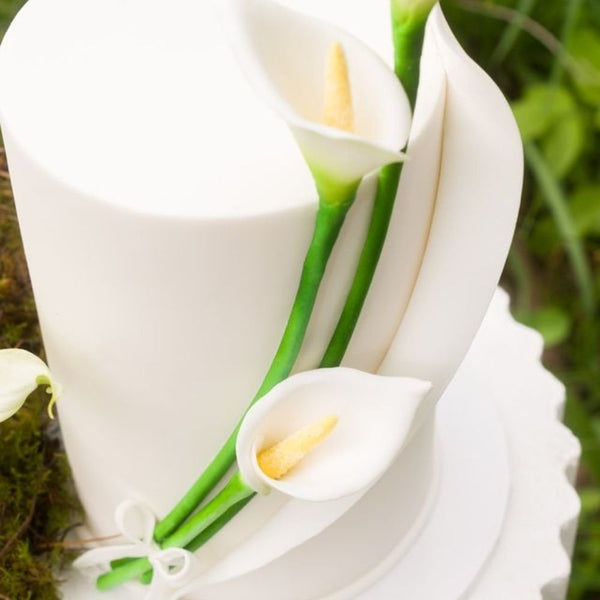White Decorators Dough Fondant