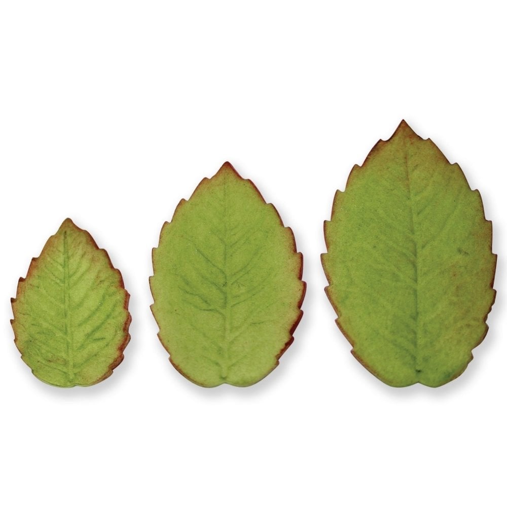Veined Rose Leaf Plunger Cutter Set Of 3
