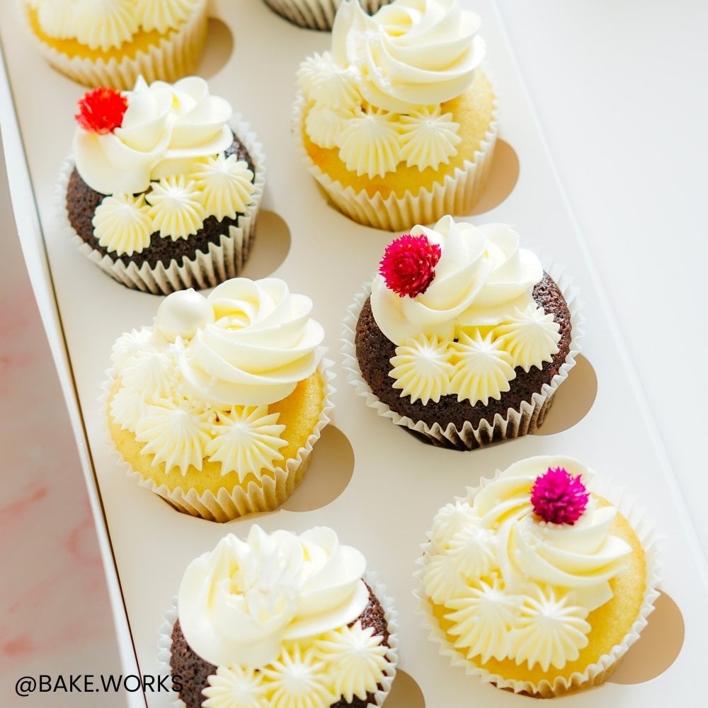 Oblong Cupcake Box - Holds 12 - 2 pack