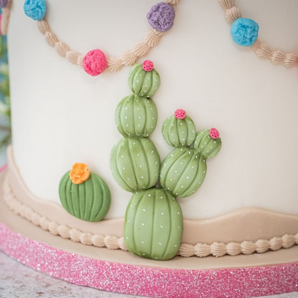 Cactus Silicone Mould