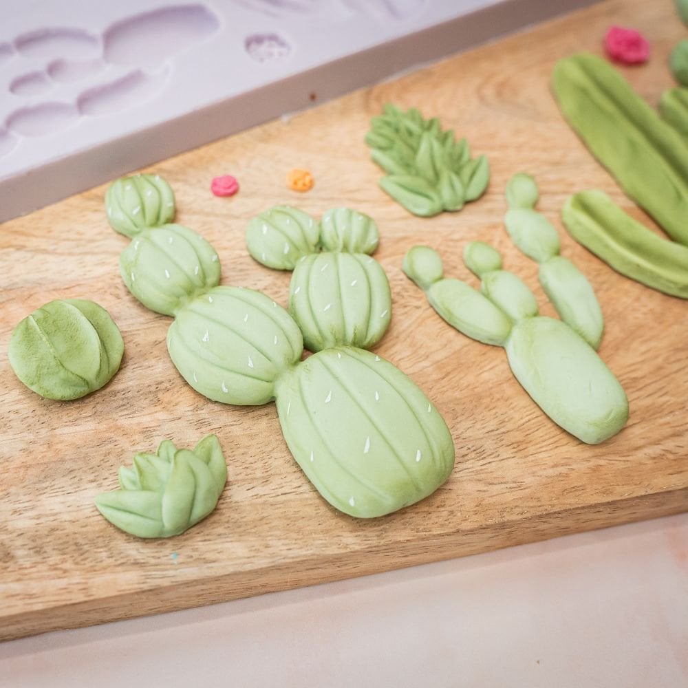 Cactus Silicone Mould