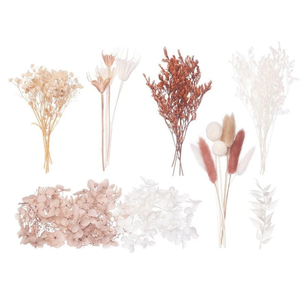 Natural, Latte, Nude & White Deluxe Mixed Dried Flower Box