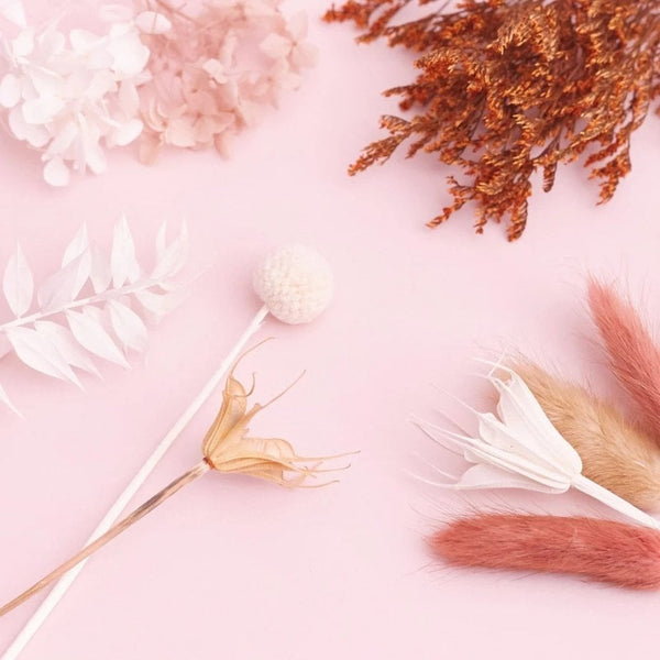 Natural, Latte, Nude & White Deluxe Mixed Dried Flower Box